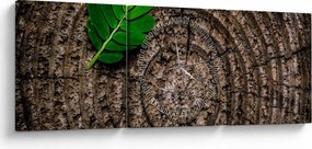 Obraz listu na kmeni stromu (s hodinami) (90x30 cm)