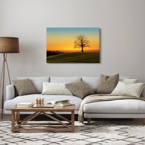 Obraz stromu na poli (90x60 cm)