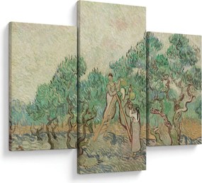 Obraz - Vincent van Gogh, The Olive Orchard, reprodukcia (90x60 cm)