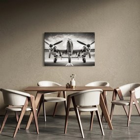 Obraz - Warbird (90x60 cm)