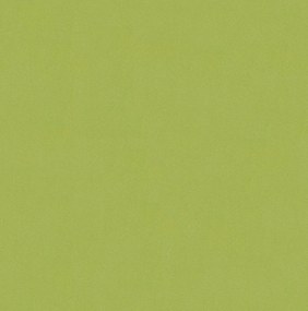 Lentex, PVC podlaha - lino Flexar PUR 603-11 zelená, na mieru, šíře 2m,4m, zelená, bez podkladu, kancelária