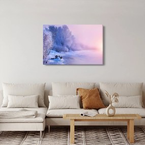 Obraz - Zamrznutá rieka (90x60 cm)