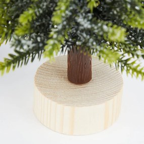 TREE OF THE MONTH Vianočný stromček s dreveným stojanom 19 cm