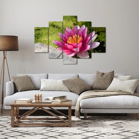 Obraz - Lekno (150x105 cm)