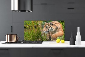 Sklenený obklad Do kuchyne Tiger zvieratá 125x50 cm