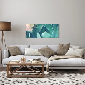 Obraz - Sukulent (120x50 cm)