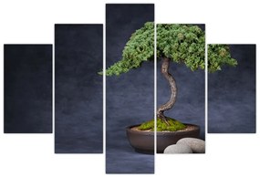 Obraz - Bonsai (150x105 cm)