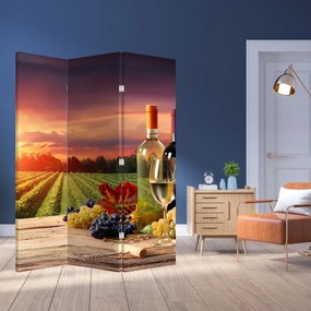 Paraván - Vinice s vínom (126x170 cm)