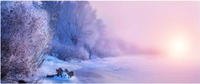 Obraz - Zamrznutá rieka (120x50 cm)