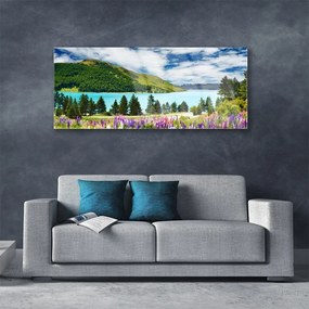 Obraz plexi Hora les jazero príroda 125x50 cm