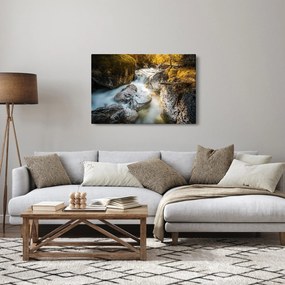Obraz - Lesný potok (90x60 cm)