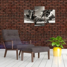 Obraz - Historické lietadlo (90x60 cm)