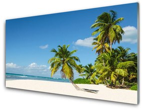 Skleneny obraz Pláž palma more krajina 120x60 cm