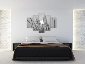 Obraz - Lúka pri západe slnka (150x105 cm)
