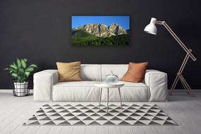 Obraz na plátne Hora les príroda 120x60 cm
