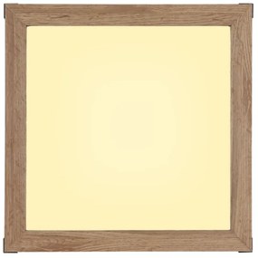 Globo 41589D1 - LED Stropné svietidlo CARLA LED/12W/230V 30x30 cm