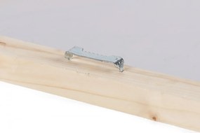 Súprava obrazov Paprade 90x30 cm viacfarebná