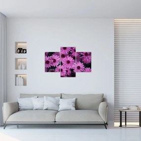 Obraz ružových kvetov (90x60 cm)