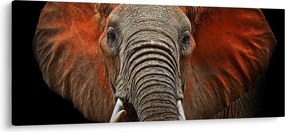 Obraz - Slony z Tsavo (120x50 cm)