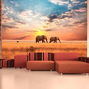 Artgeist Fototapeta - African savanna elephants Veľkosť: 196x154, Verzia: Samolepiaca