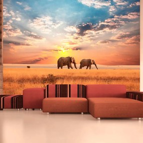 Artgeist Fototapeta - African savanna elephants Veľkosť: 300x231, Verzia: Premium