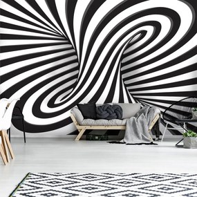Fototapeta - Biele a čierne 3D krúženie (254x184 cm)