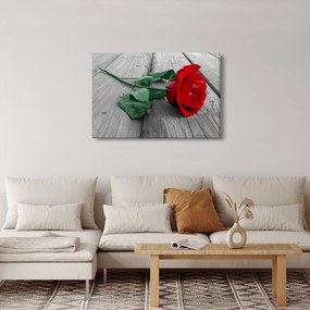 Obraz - Červená ruža so zelenou stonkou (90x60 cm)