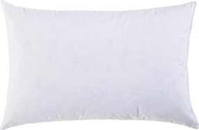 XXXLutz VÝPLŇOVÝ VANKÚŠ 40/60 cm Sleeptex - Textil do domácnosti - 007992037403