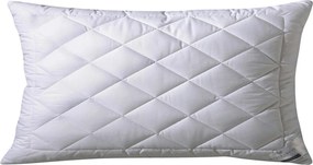 XXXLutz VANKÚŠ POD HLAVU, 40/80 cm Billerbeck - Prikrývky & vankúše - 003279048301