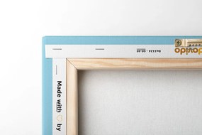 Obraz mapa sveta s popisom jednotlivých kontinentov