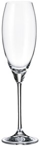 Crystalite Bohemia poháre na šampanské Carduelis 290 ml 1KS