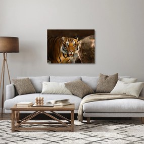 Sklenený obraz tigra (70x50 cm)