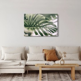 Obraz - List monštier (90x60 cm)