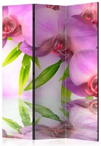 Artgeist Paraván - Orchid Spa [Room Dividers]
