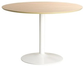 Jedálenský stôl Ibiza biely/dub