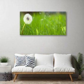 Obraz na plátne Púpava tráva rastlina 120x60 cm