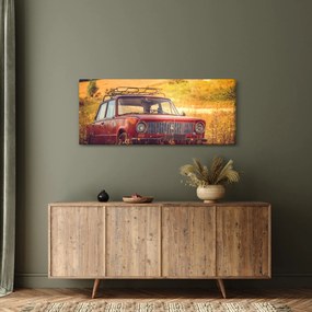Obraz auta v poli (120x50 cm)
