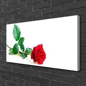 Obraz Canvas Ruže kvet rastlina 140x70 cm