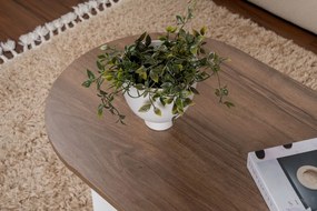 Sable - Walnut, White