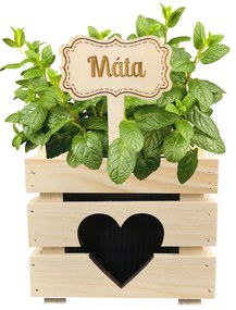 AMADEA Drevený zápich - ceduľka na bylinky Mäta, výška 20 cm, český výrobok