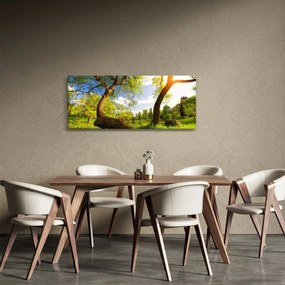 Obraz jarnej lúky (120x50 cm)