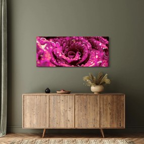 Obraz ružového kvetu ruže (120x50 cm)