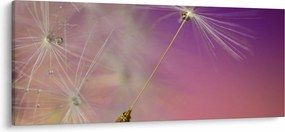Obraz šťastia (120x50 cm)