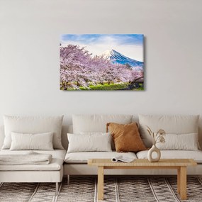 Obraz - Japonsko na jar (90x60 cm)