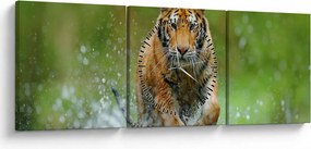 Obraz - Bežiaci tiger (s hodinami) (90x30 cm)
