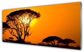 Obraz na akrylátovom skle Strom slnko príroda 125x50 cm