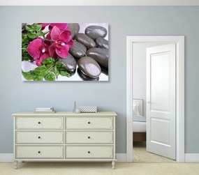 Obraz kvitnúca orchidea a wellness kamene - 60x40