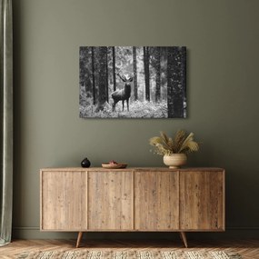Obraz - Jeleň v lese 2, čiernobiela (90x60 cm)