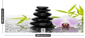 Fototapeta Vliesová Kamene a orchidea 152x104 cm