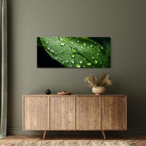 Obraz - List po daždi (120x50 cm)